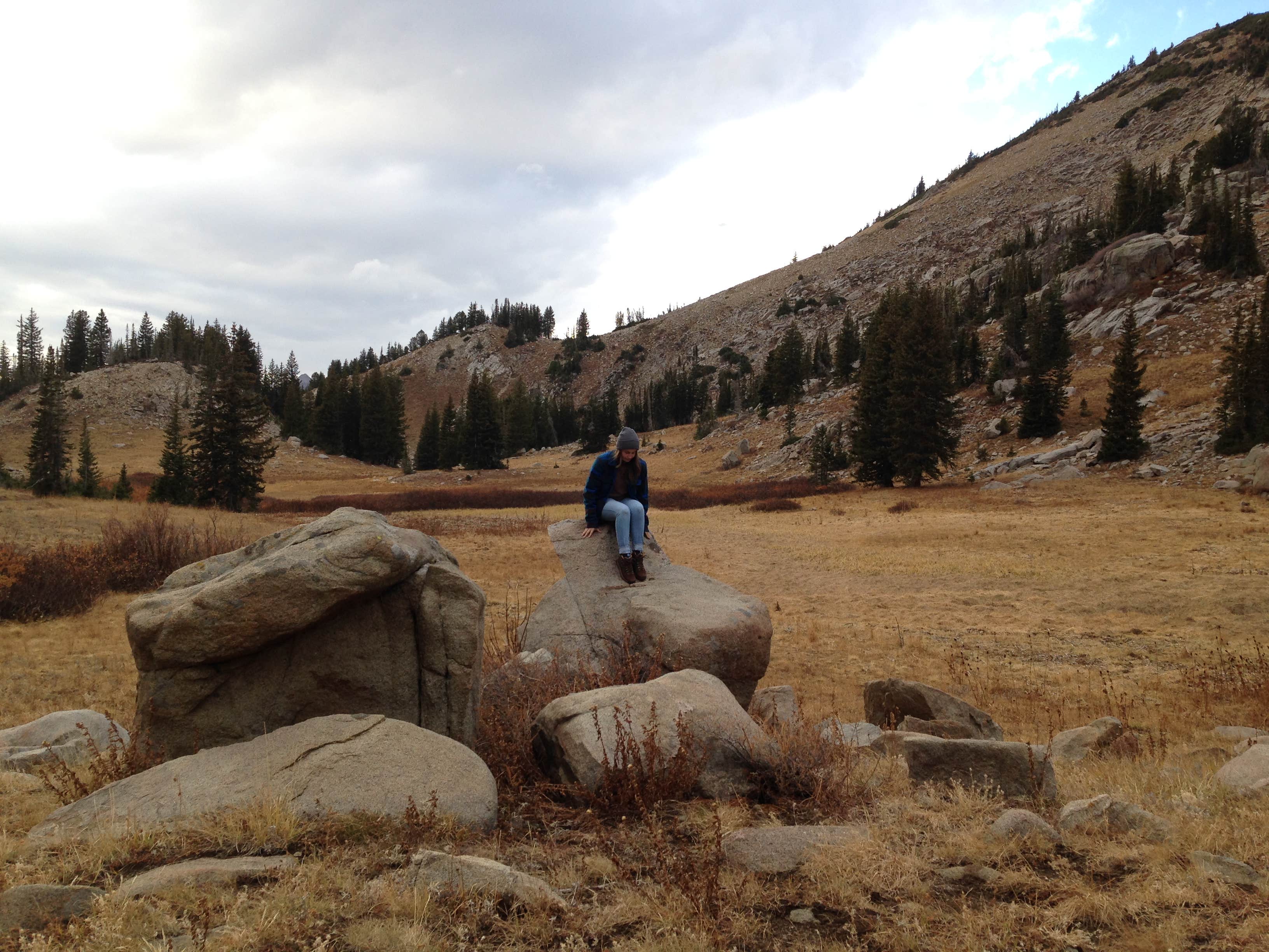 Camper-submitted photo at Albion Basin - Dispersed near Murray, UT