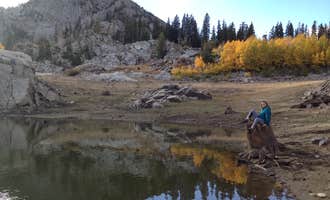 Camping near River's Edge at Deer Park: Albion Basin - Dispersed, Alta, Utah