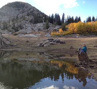 Camper-submitted photo from Albion Basin - Dispersed