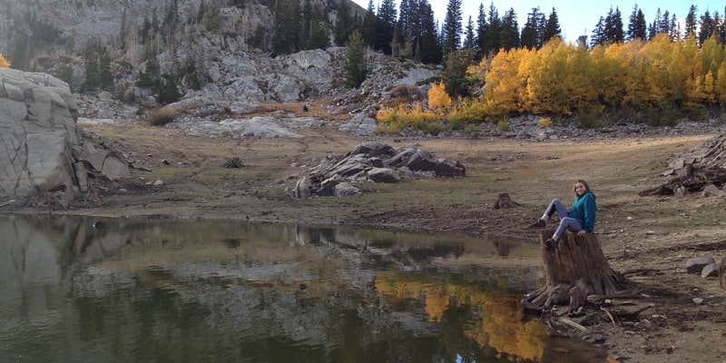 Camper submitted image from Albion Basin - Dispersed