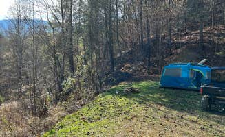 Emily T.'s photo at Primitive Campsite near Dandridge, TN