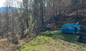Camping near Peaceful Moments: Primitive Campsite, Cosby, Tennessee