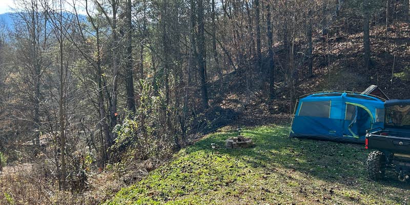 Camper submitted image from Primitive Campsite