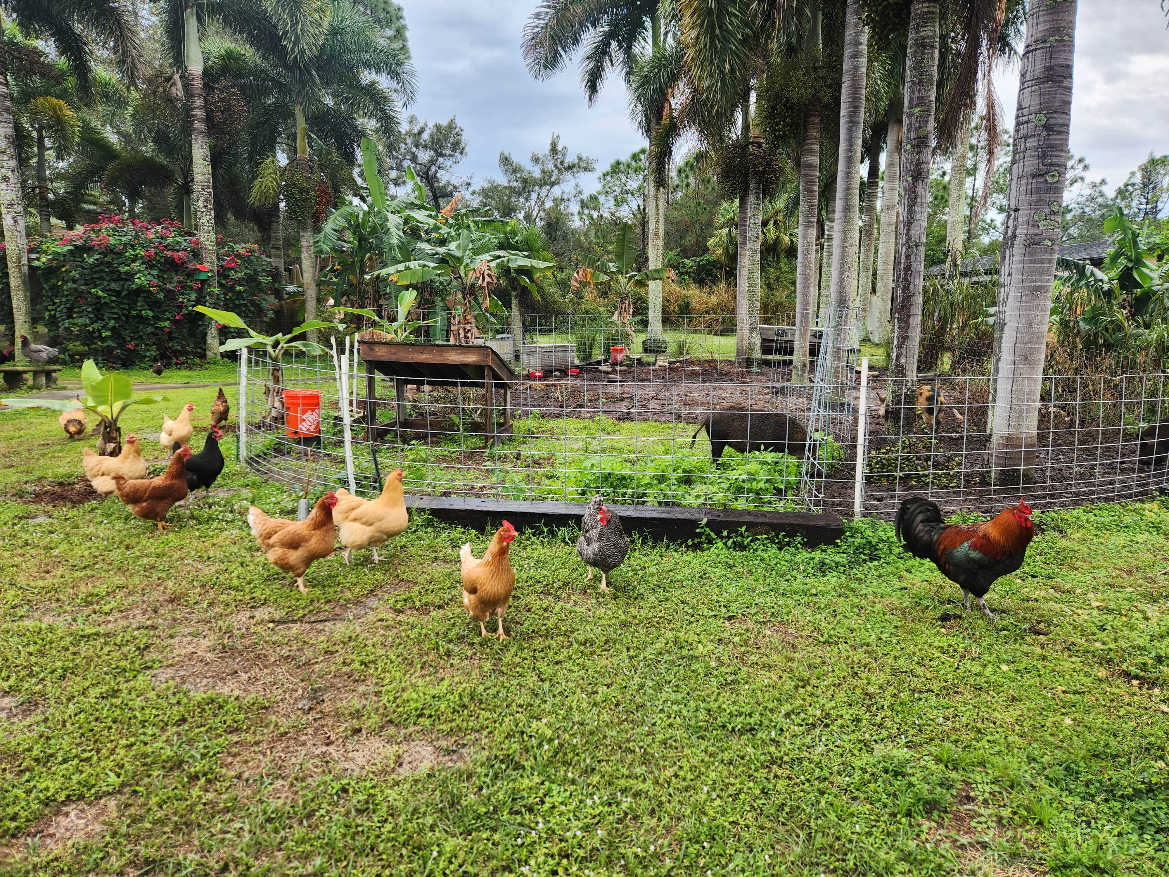 Camper-submitted photo at Food Forest Utopia near Jupiter, FL