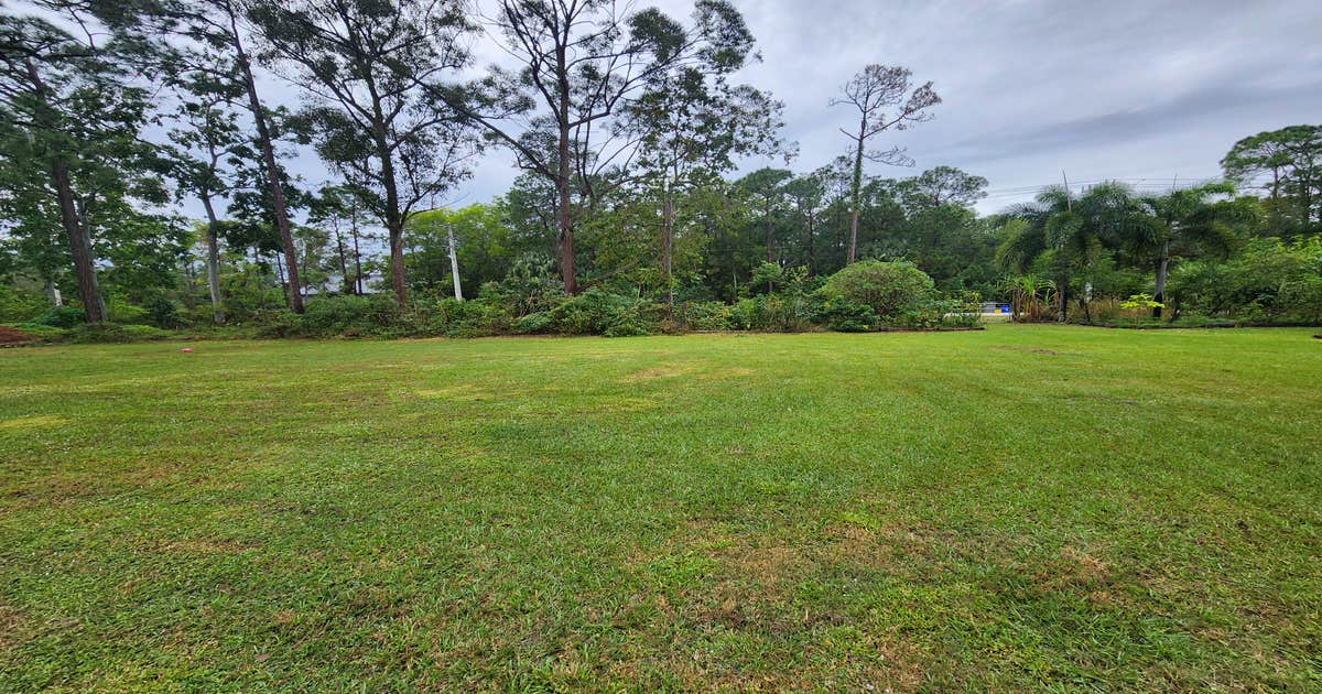 Food Forest Utopia Camping | Palm Beach Gardens, FL