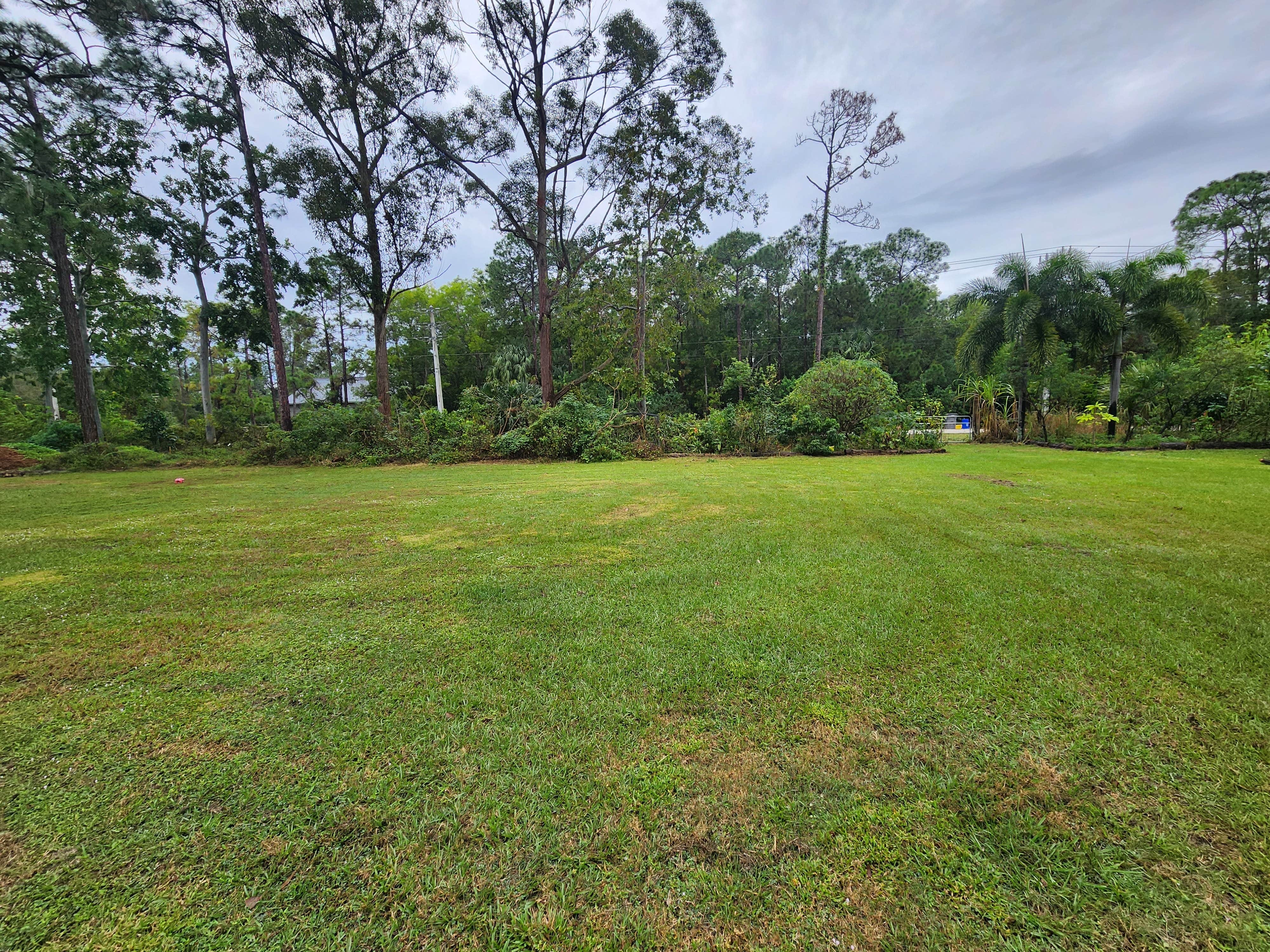 Camper submitted image from Food Forest Utopia - 1