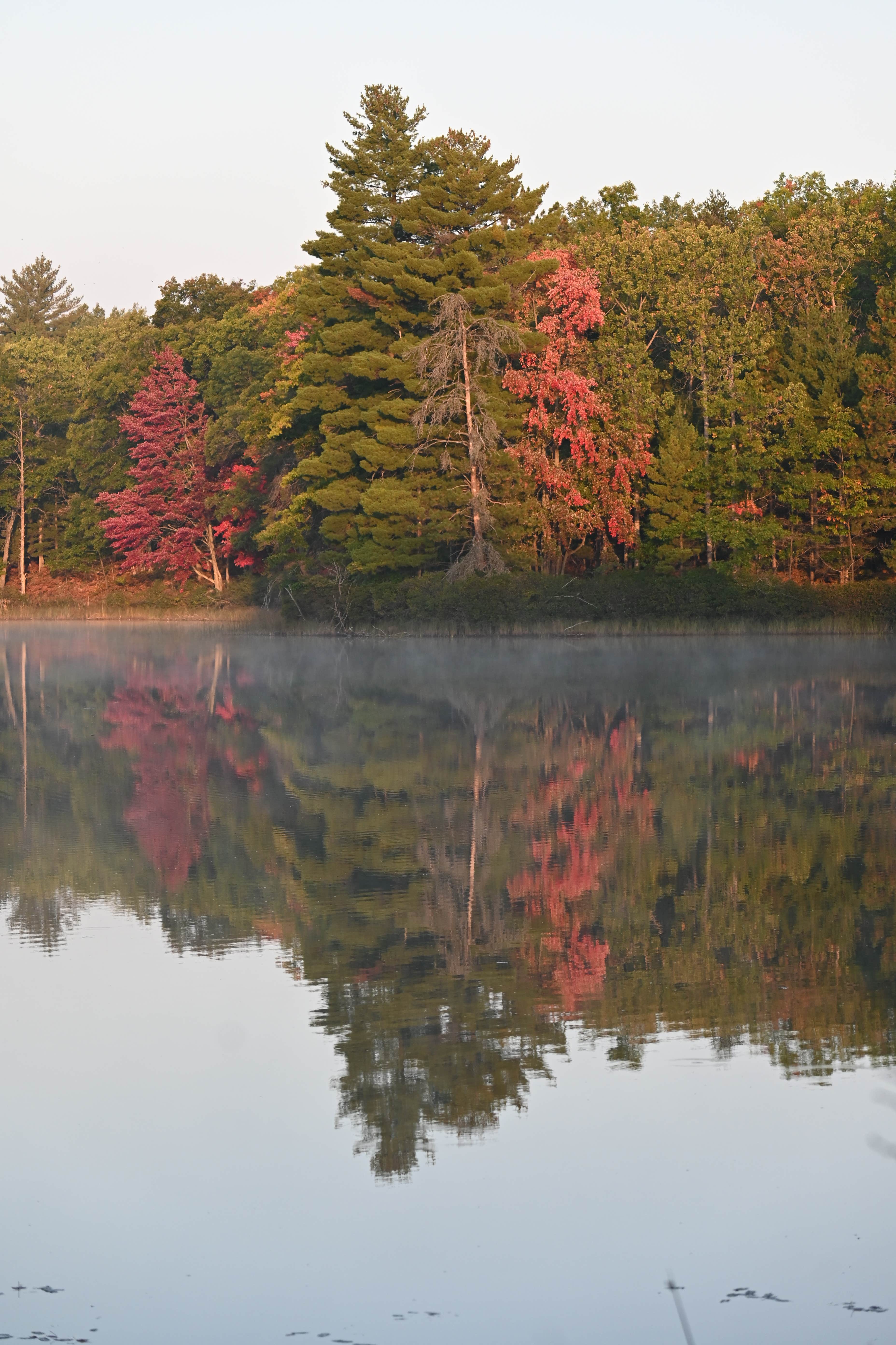Camper-submitted photo at Town Corner Lake State Forest Campground near Johannesburg, MI