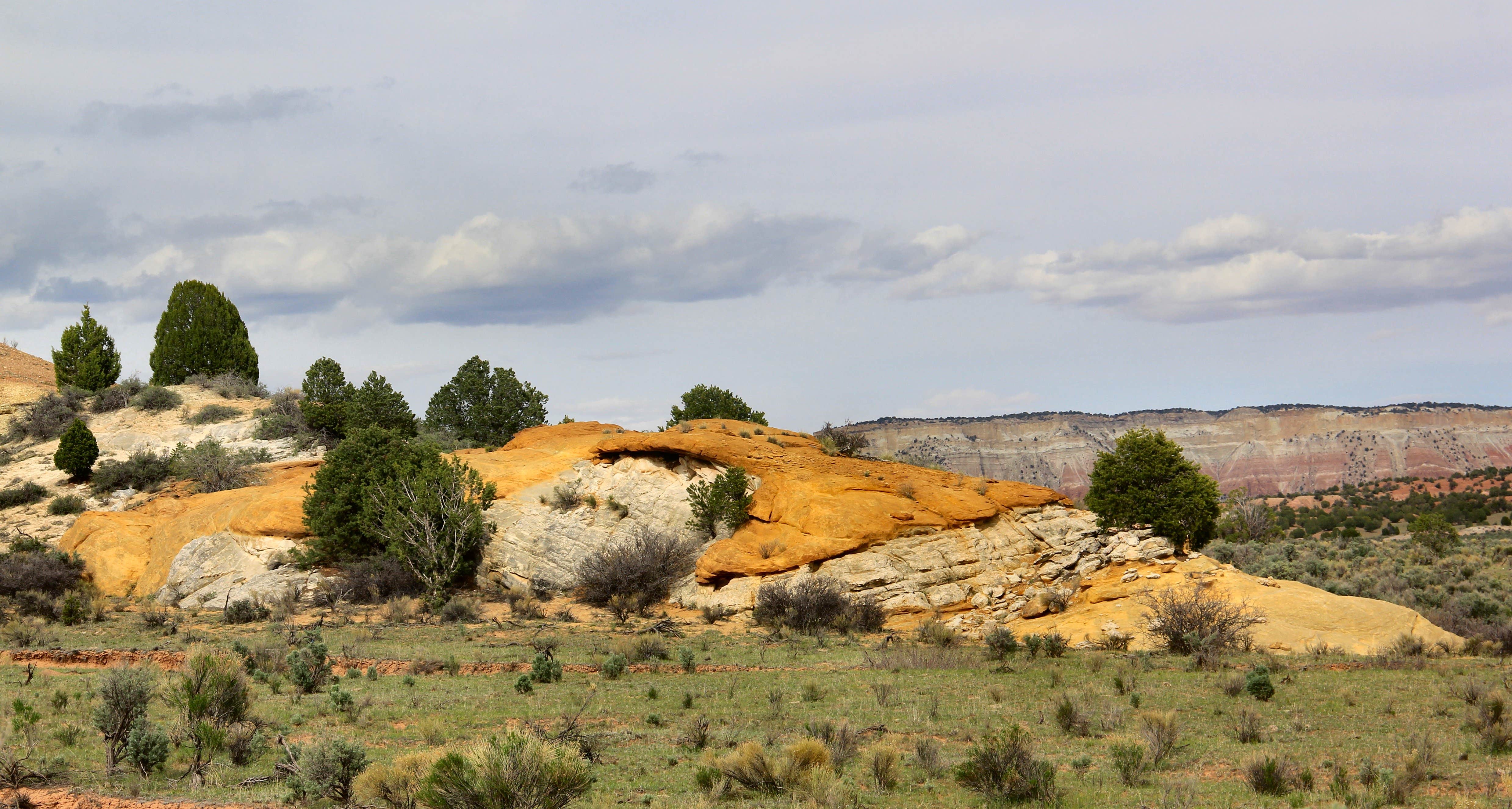 Camping near Henrieville Creek - Grand Staircase Nat Mon: Rock Springs Bench, Henrieville, Utah
