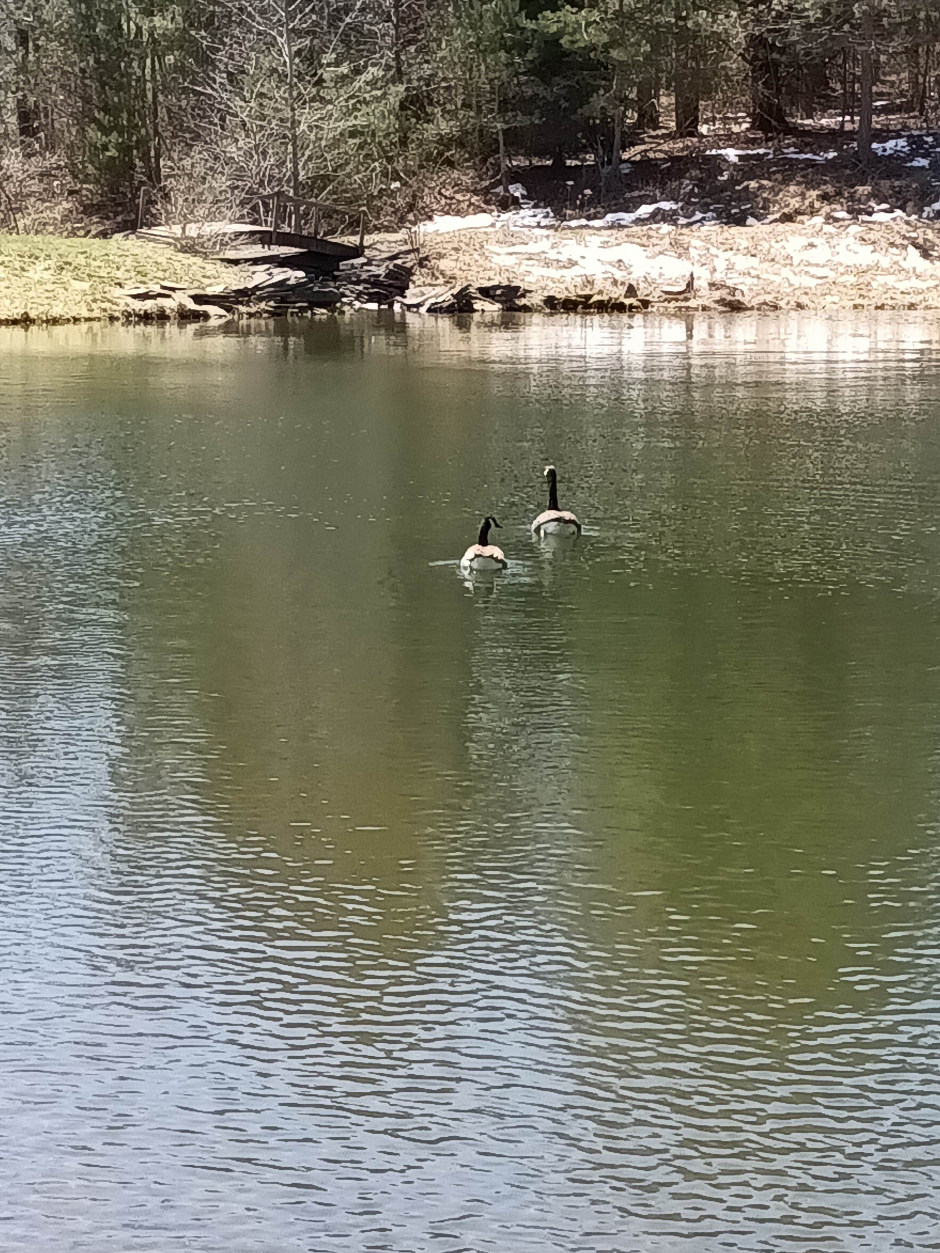 Camping near Steam Mill Tent Site: Cazalia, Deposit, New York