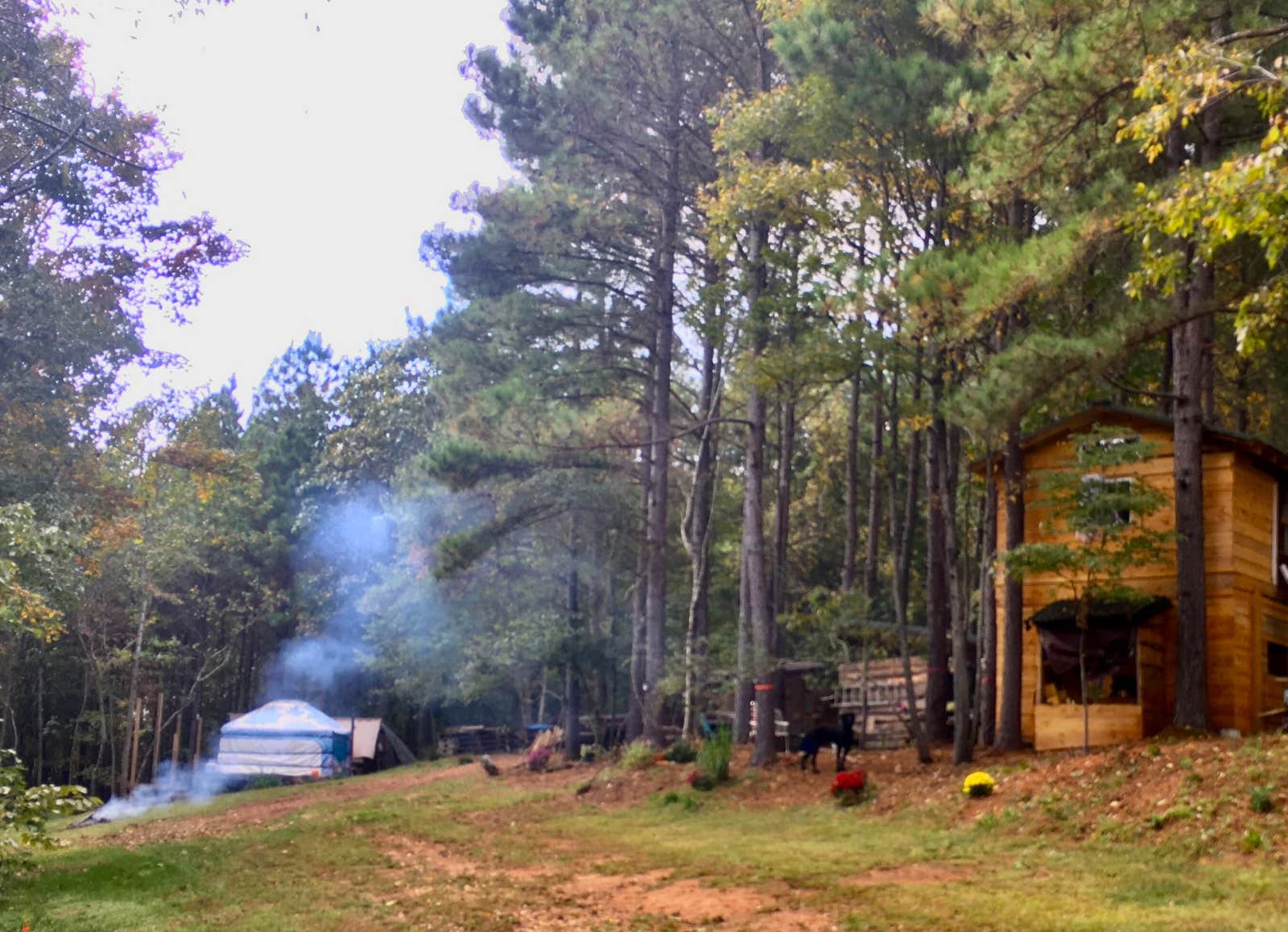 Stacey B.'s photo of camping with pets at Camp As-You-Like-It near Boiling Springs, NC