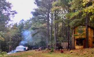 Stacey B.'s photo of camping with pets at Camp As-You-Like-It near Spartanburg, SC