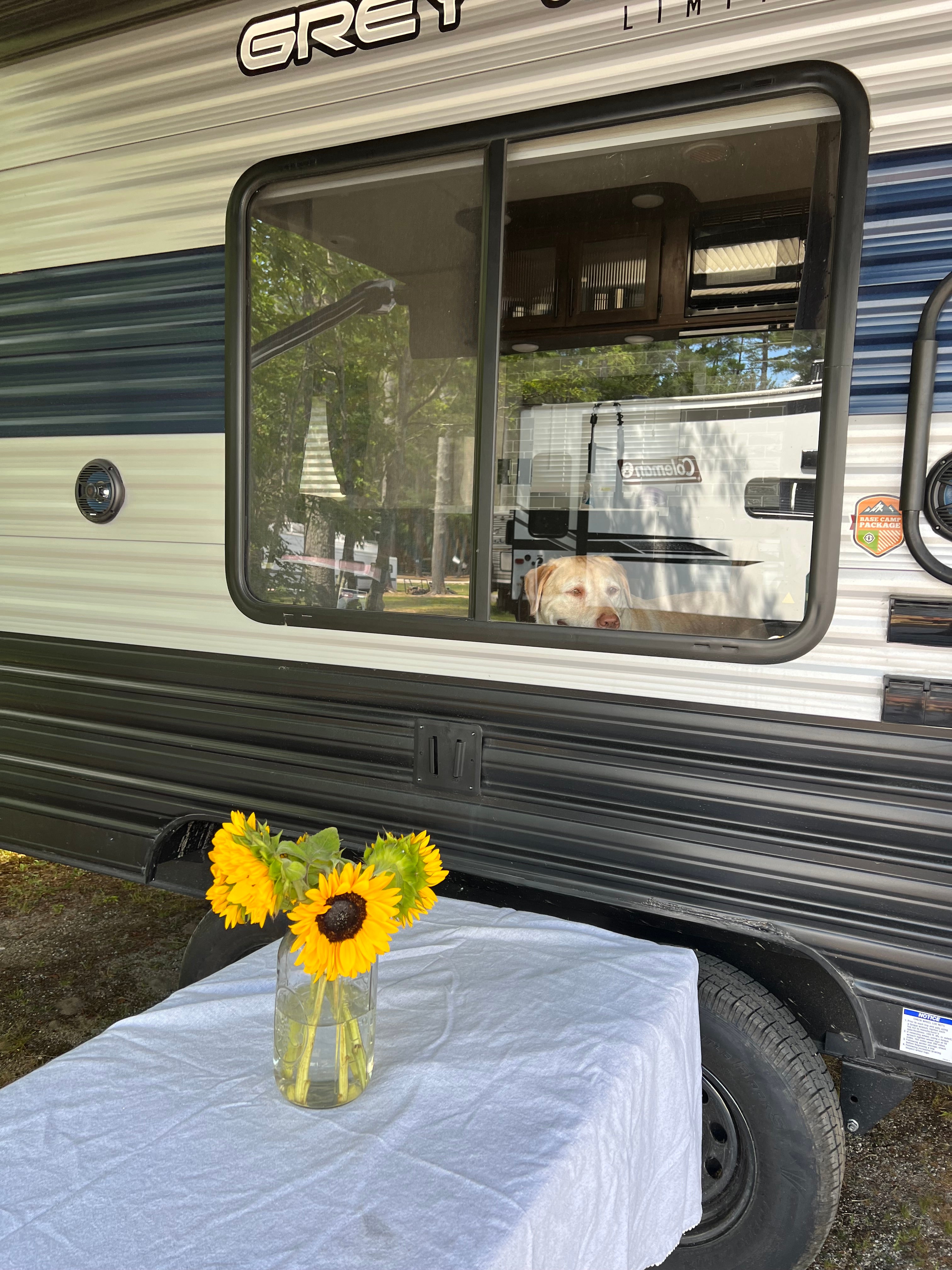 Camper submitted image from Pleasant River Campground - 2
