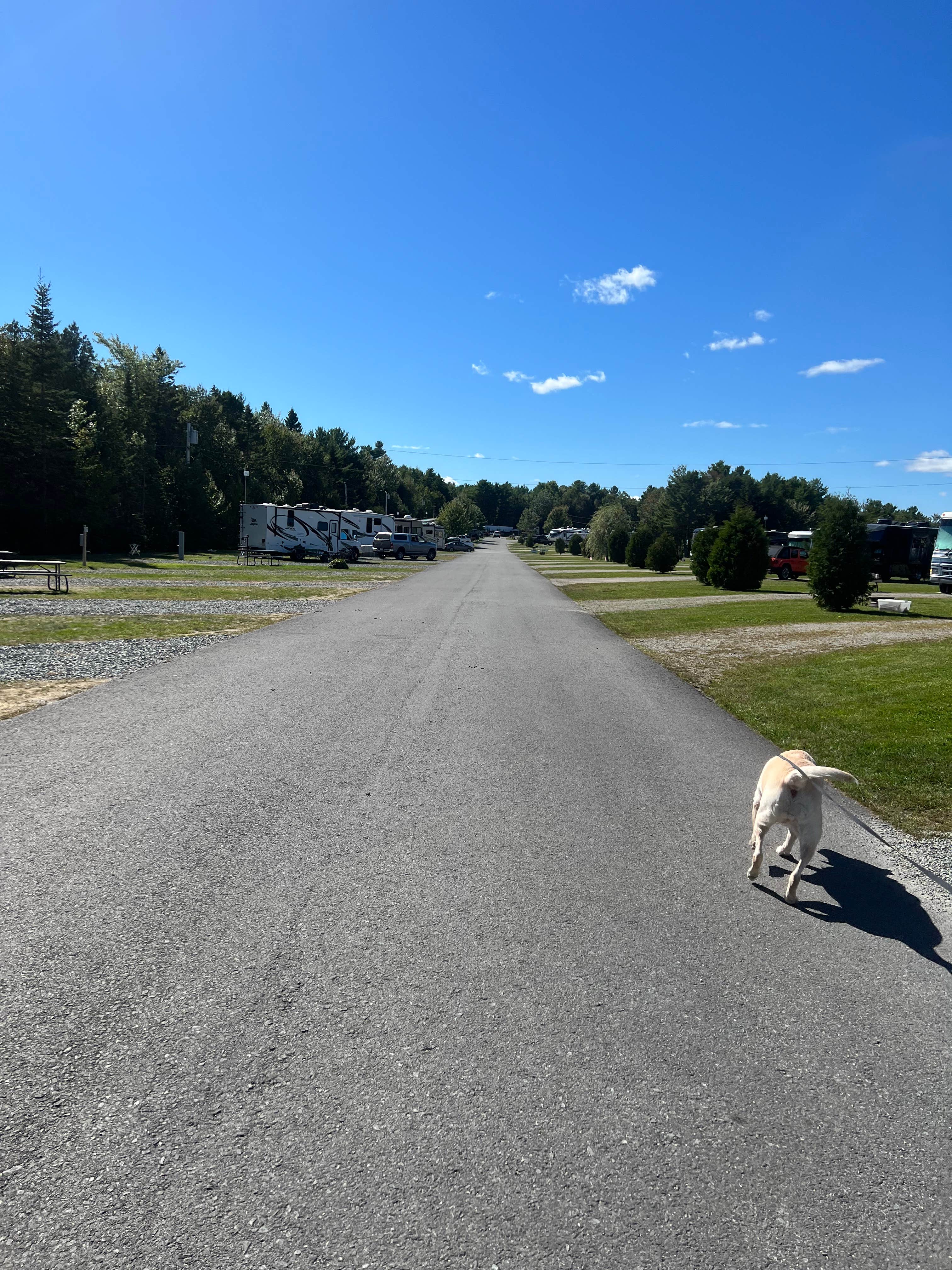 Claire T.'s photo of camping with pets at Timberland Acres RV Park near Ellsworth, ME