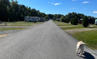Claire T.'s photo of camping with pets at Timberland Acres RV Park near Searsport, ME