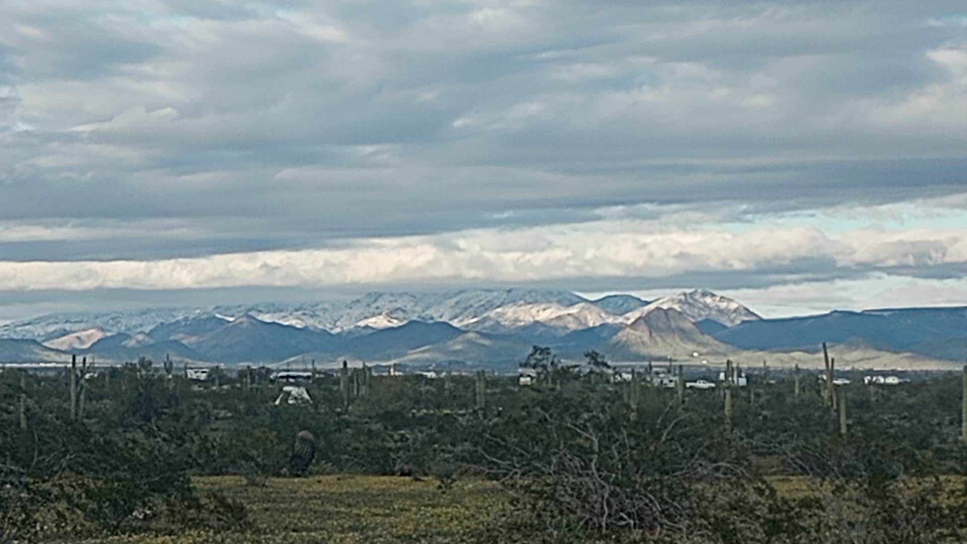 The Wanderer's photo of a dispersed camping area at Maddock Road Dispersed - AZ State Trust Land near Wickenburg, AZ
