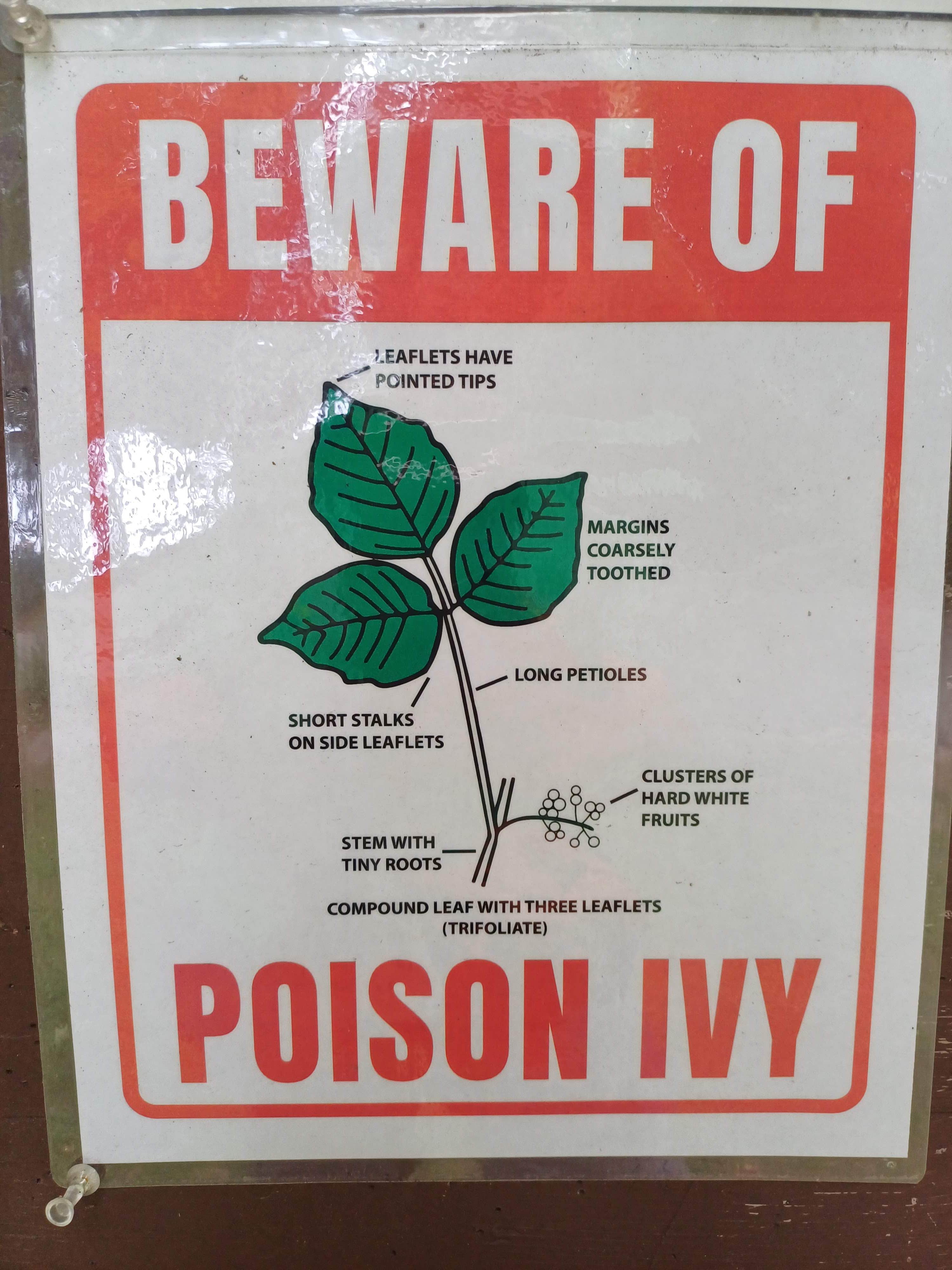 Camper-submitted photo at Point Beach State Forest near Cleveland, WI