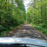 Review photo of Wanoka Lake Campground - TEMPORARILY CLOSED by Laura M., December 31, 2023