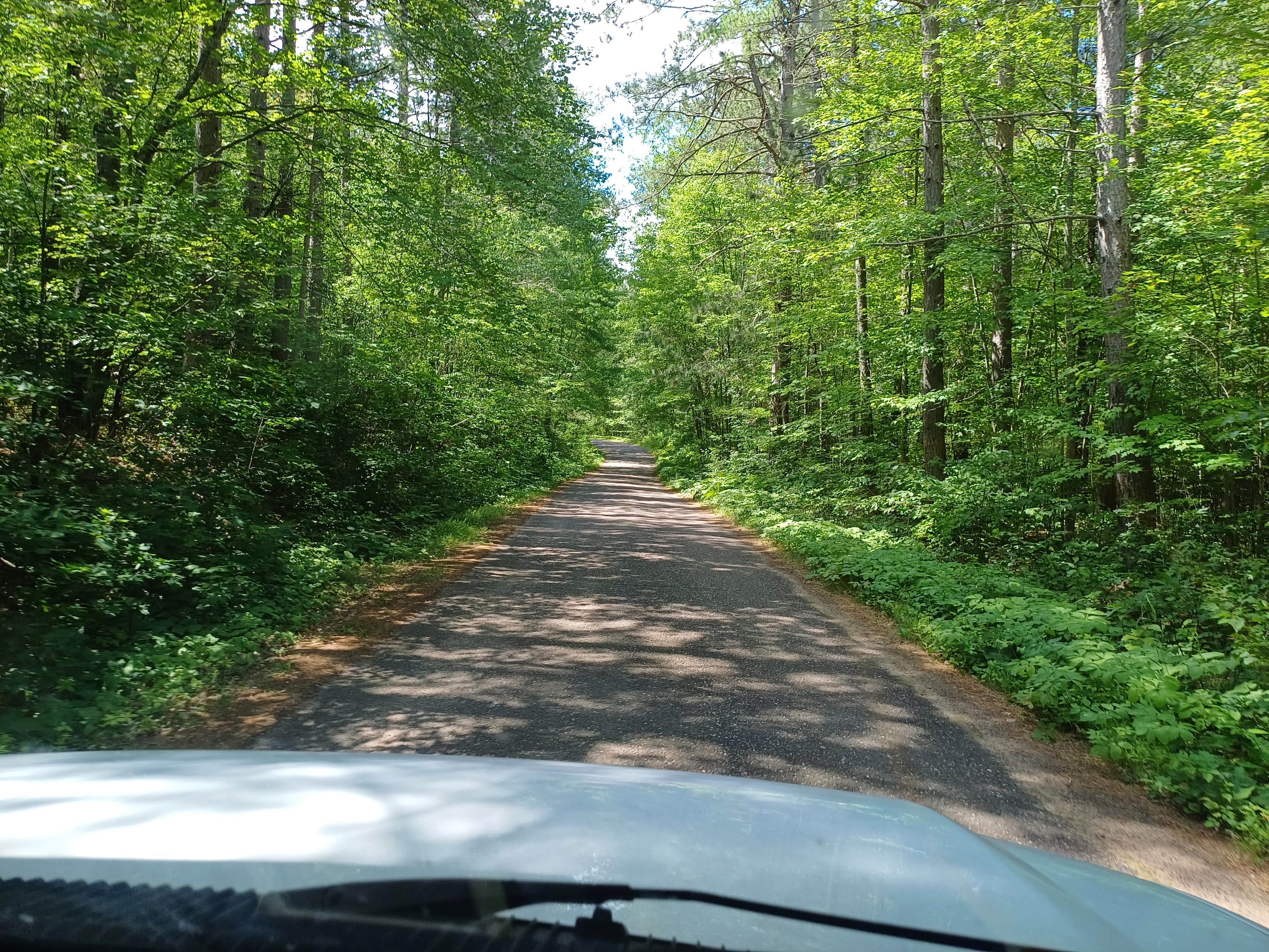 Camper submitted image from Wanoka Lake Campground - TEMPORARILY CLOSED - 4