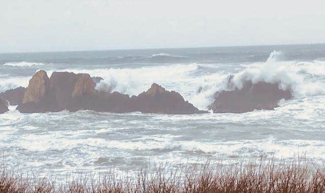 Camper-submitted photo at Seal Rocks RV Cove near Newport, OR