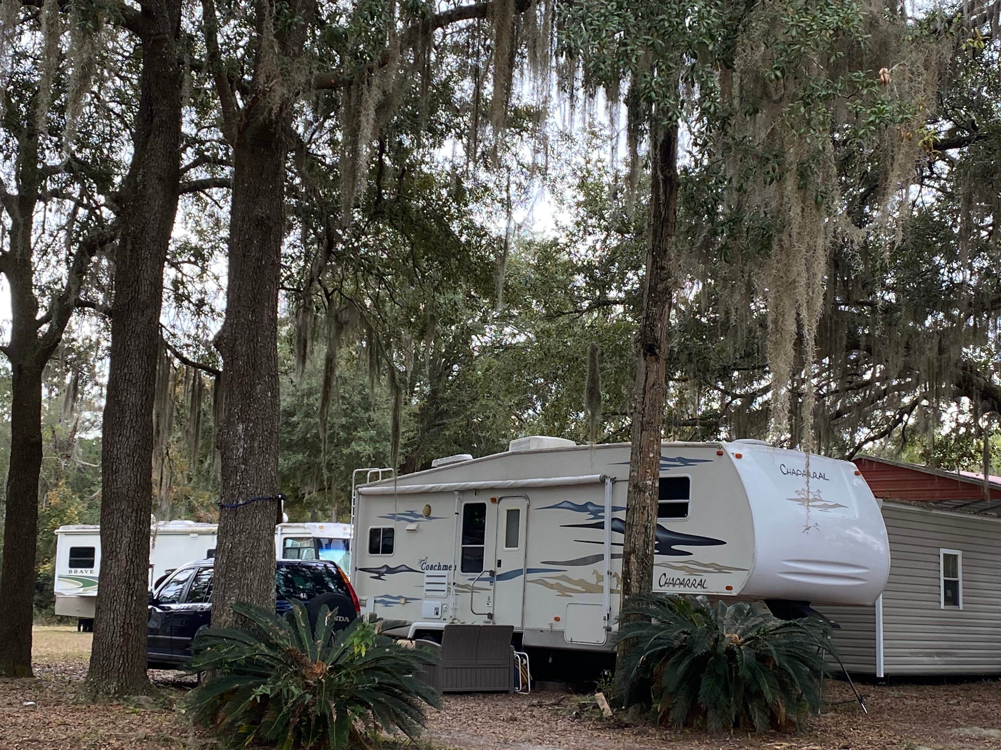 Camping near Okefenokee Pastimes Cabins and Campground: Oak Hill RV Park, Hilliard, Florida