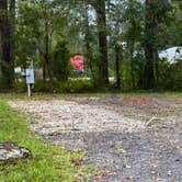 Review photo of Sunny Pines RV Park by Stuart K., January 1, 2024