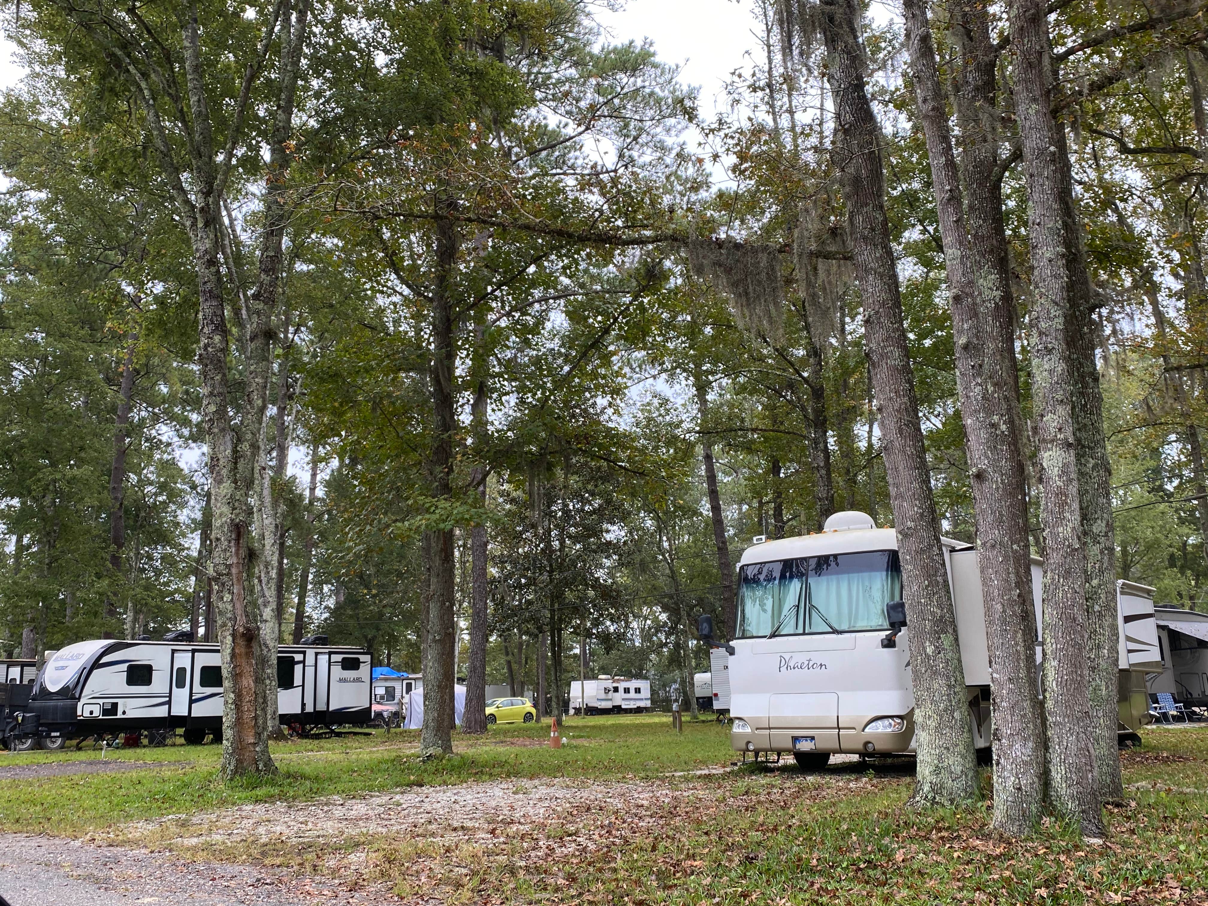 Camper-submitted photo at Sunny Pines RV Park near Bryceville, FL