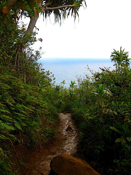 Camper submitted image from Hā’ena State Park - 2