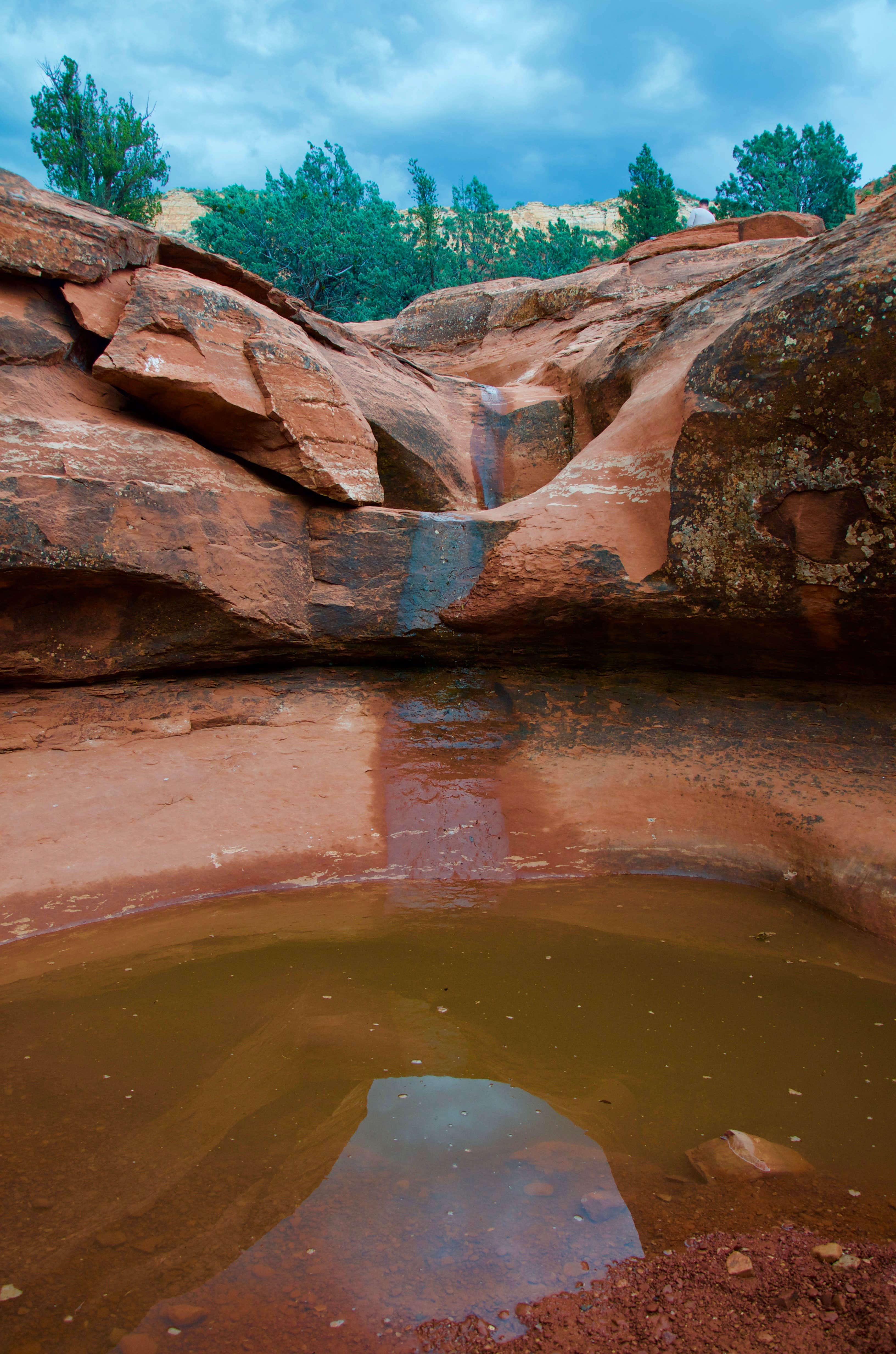 Camper-submitted photo at Schnebly Hill Road (FR153) Dispersed - TEMPORARILY CLOSED near Camp Verde, AZ