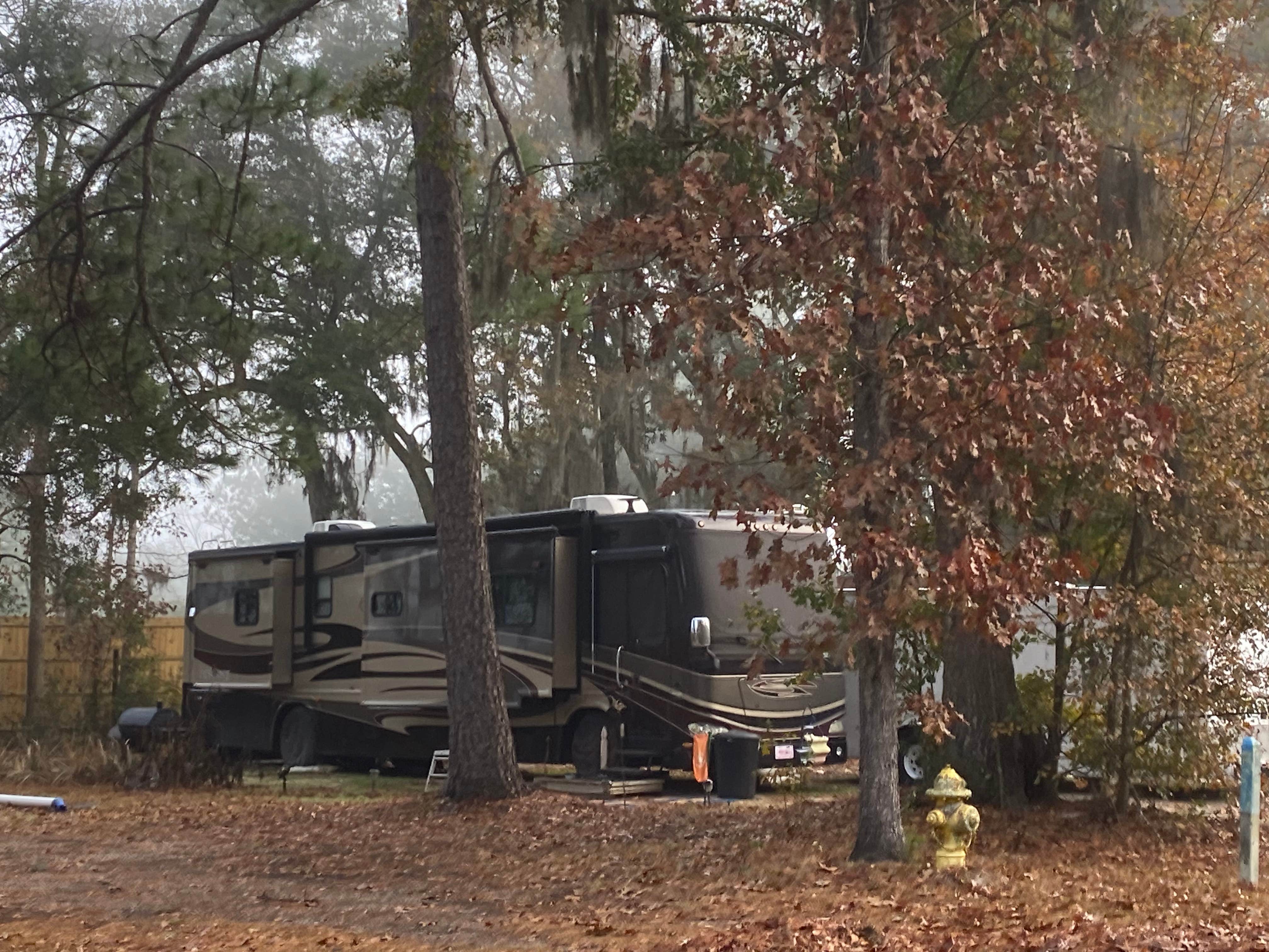 Camper-submitted photo at Bellinger Hill RV Park near Rincon, GA