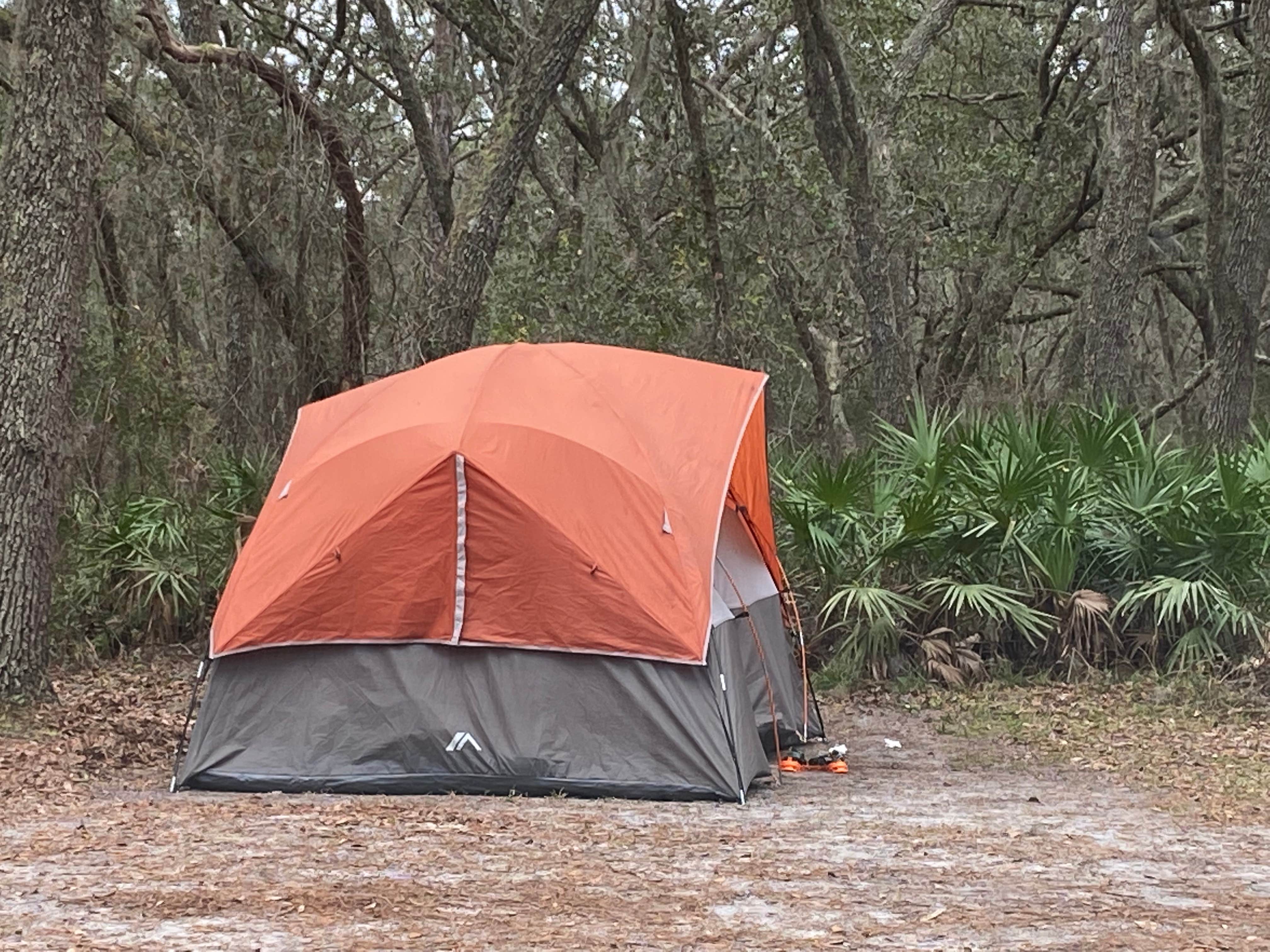Camper-submitted photo at Etoniah Creek State Forest Green Camp near Bunnell, FL