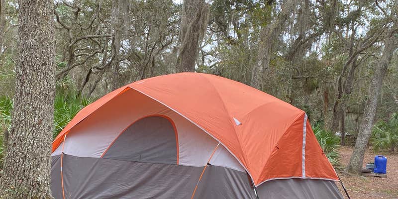Camper submitted image from Etoniah Creek State Forest Green Camp