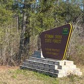 Review photo of Etoniah Creek State Forest by Stuart K., January 1, 2024