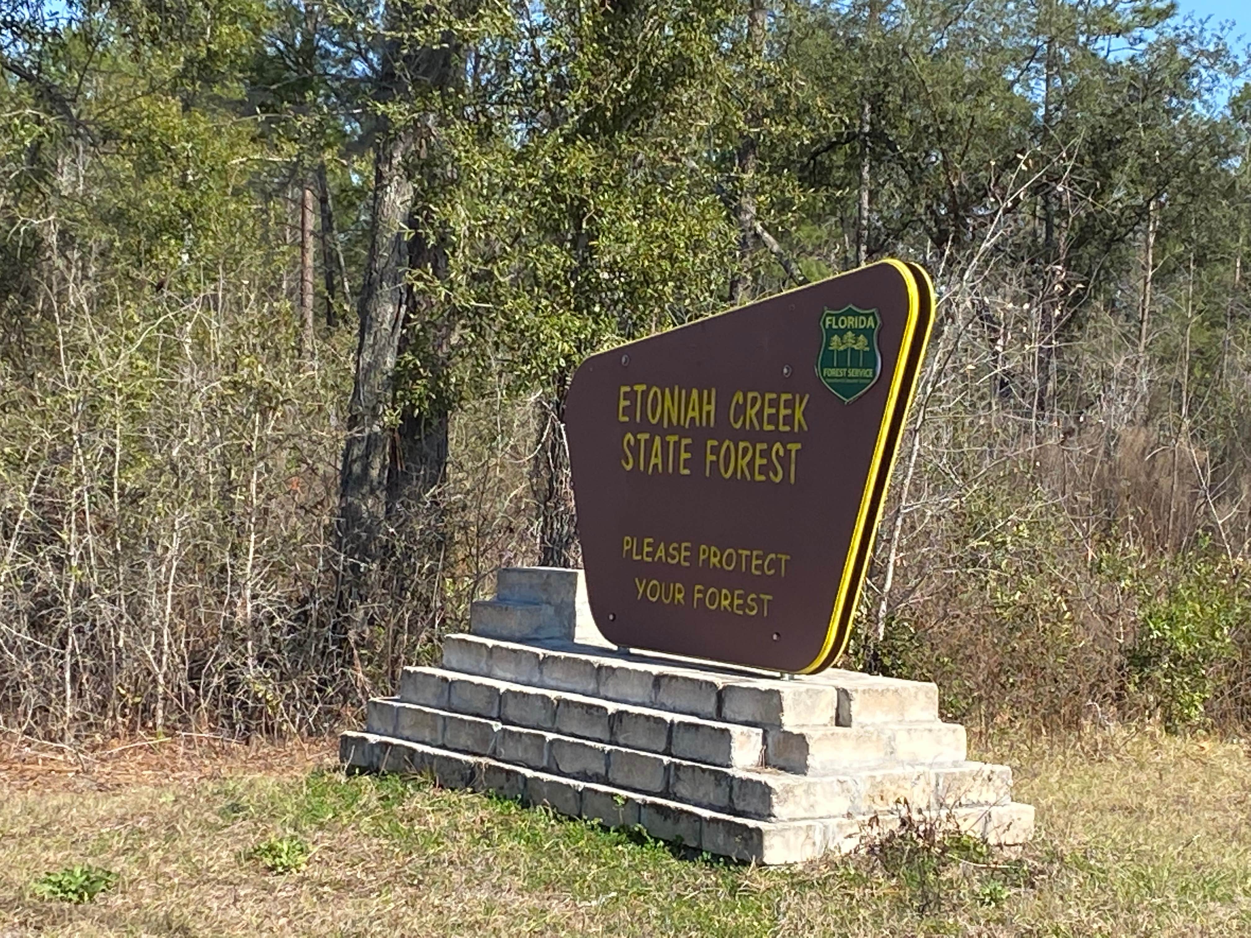Camper submitted image from Etoniah Creek State Forest Green Camp - 2