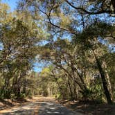 Review photo of Etoniah Creek State Forest by Stuart K., January 1, 2024