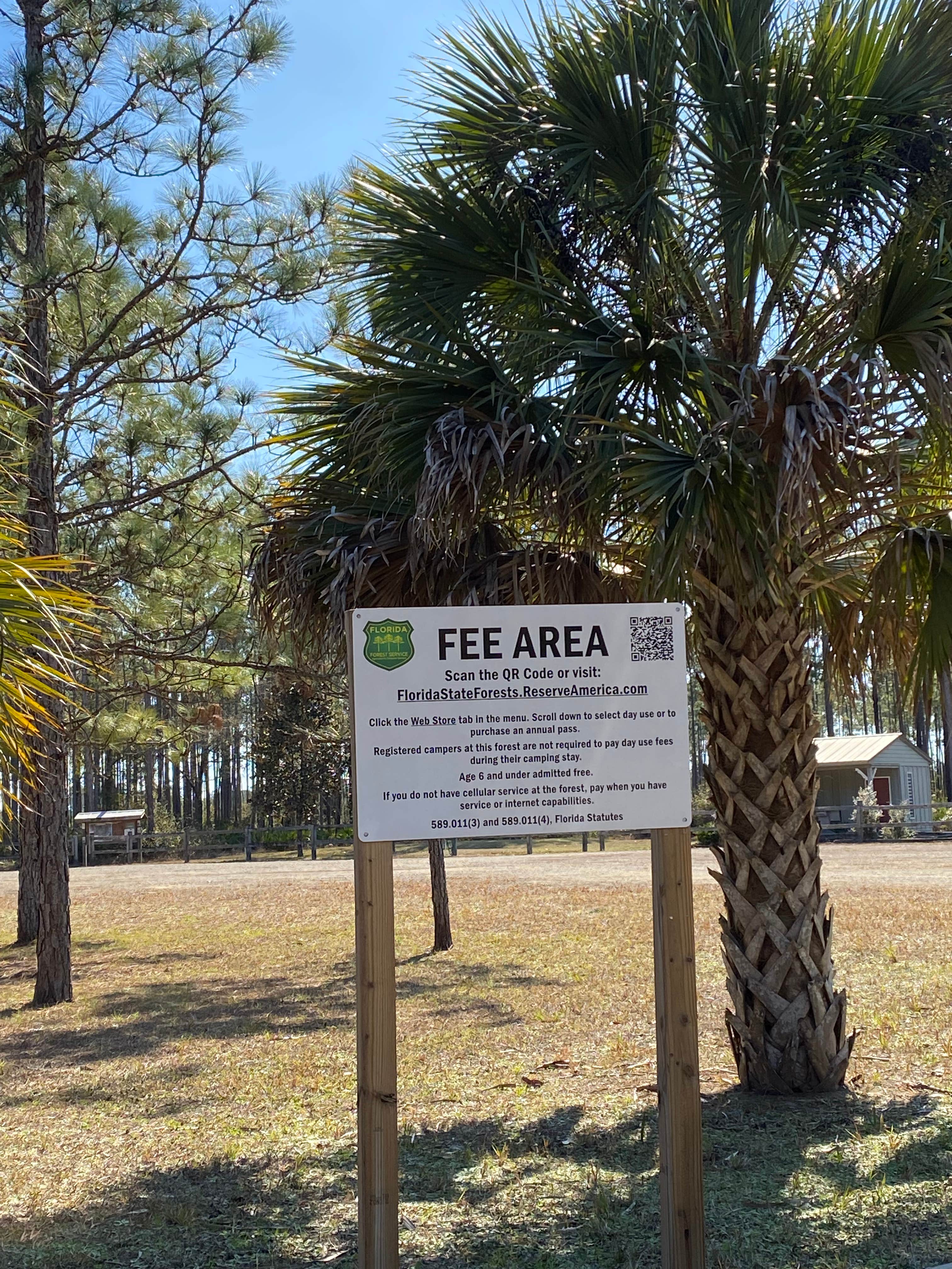 Camper-submitted photo at Etoniah Creek State Forest Green Camp near Bunnell, FL