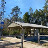 Review photo of Etoniah Creek State Forest by Stuart K., January 1, 2024