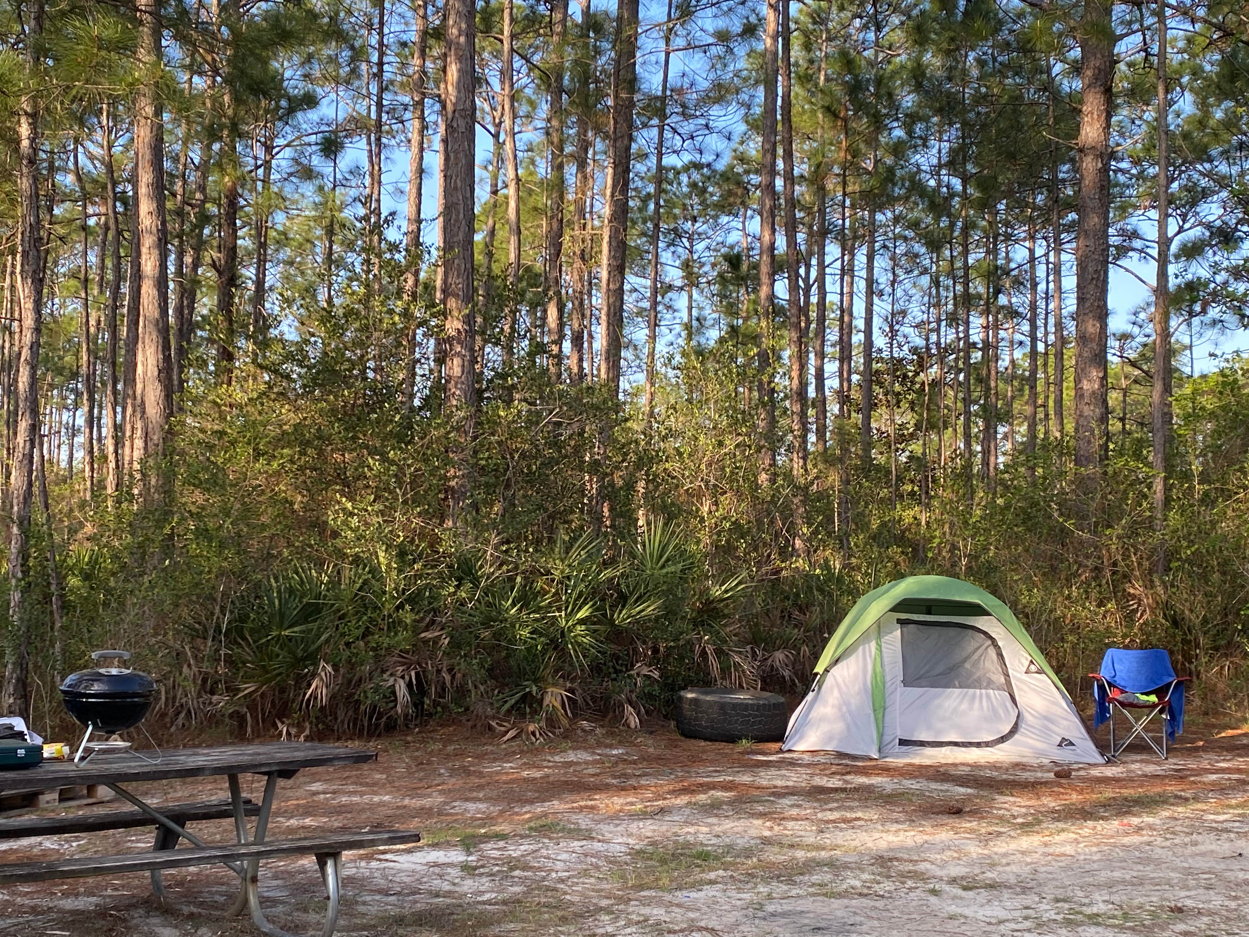 Camper submitted image from Hurlburt Field FamCamp - 2