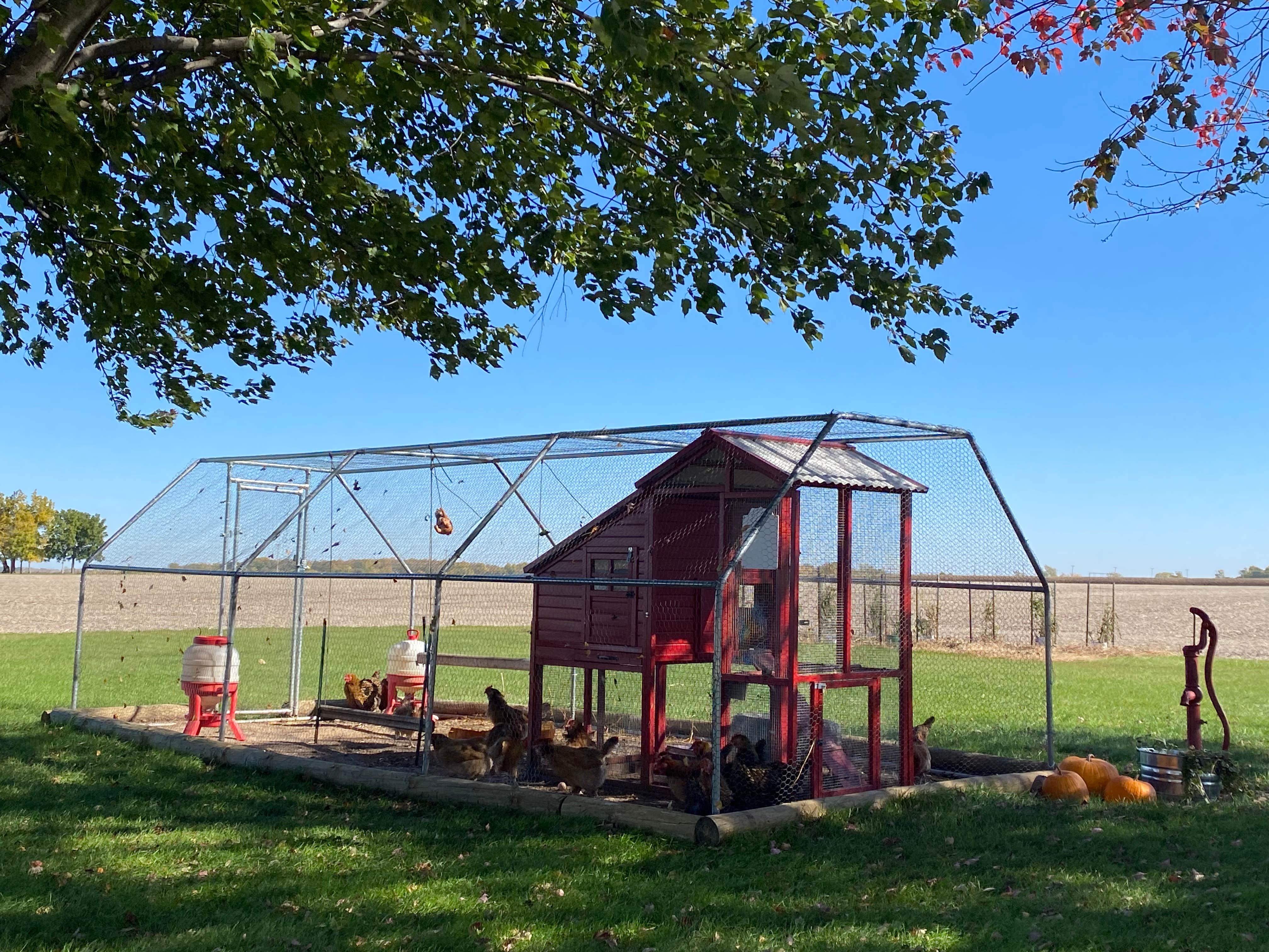Stuart K.'s photo of camping with pets at Kellogg RV Park near Lake Red Rock