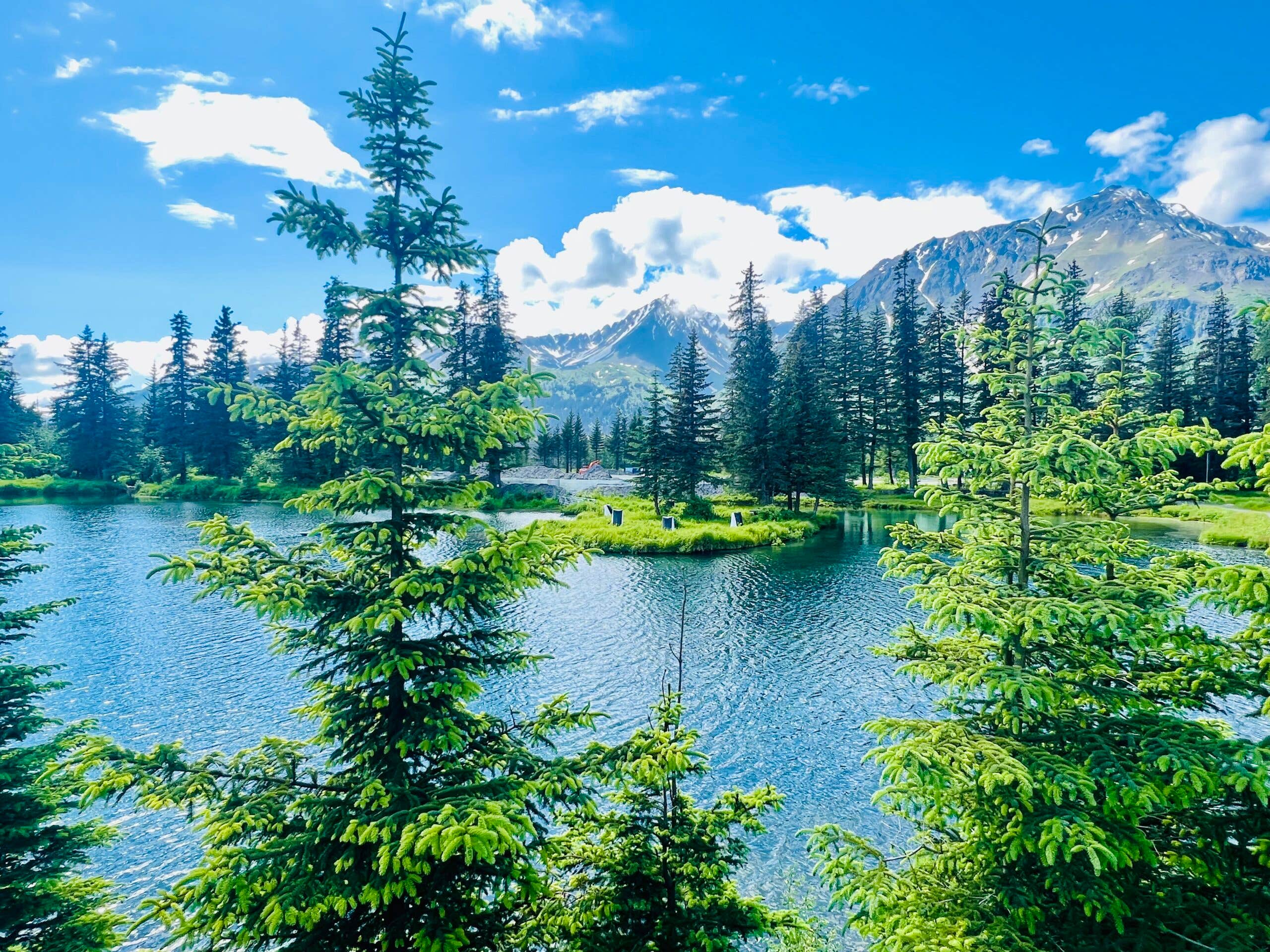 Camper-submitted photo at Howling Wolf Resort near Kenai Fjords National Park