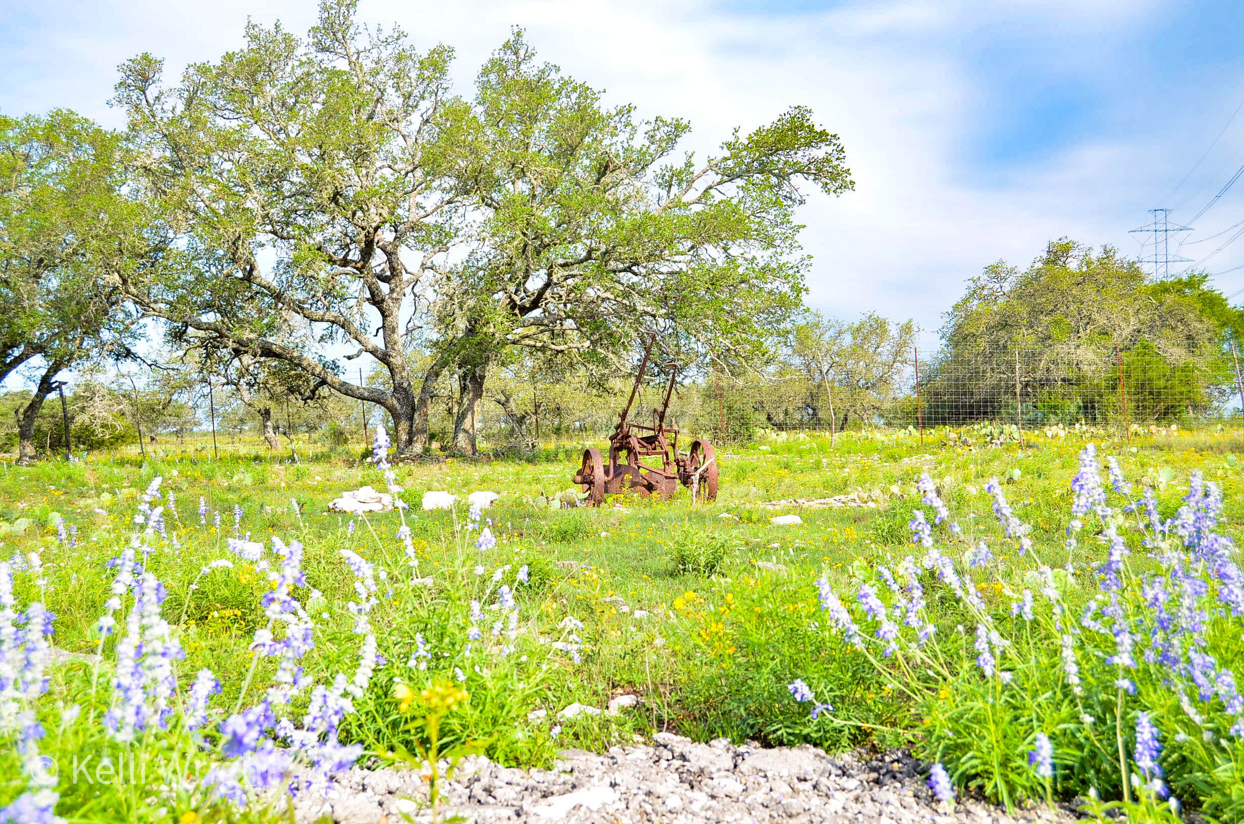 Camper-submitted photo at Cowboys and Angels RV Park and Cabins near Mountain Home, TX