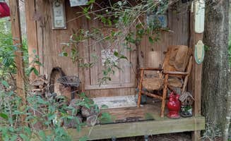 Leonard H.'s photo of a cabin at Skyacres aka the tin cottage near Steinhatchee, FL