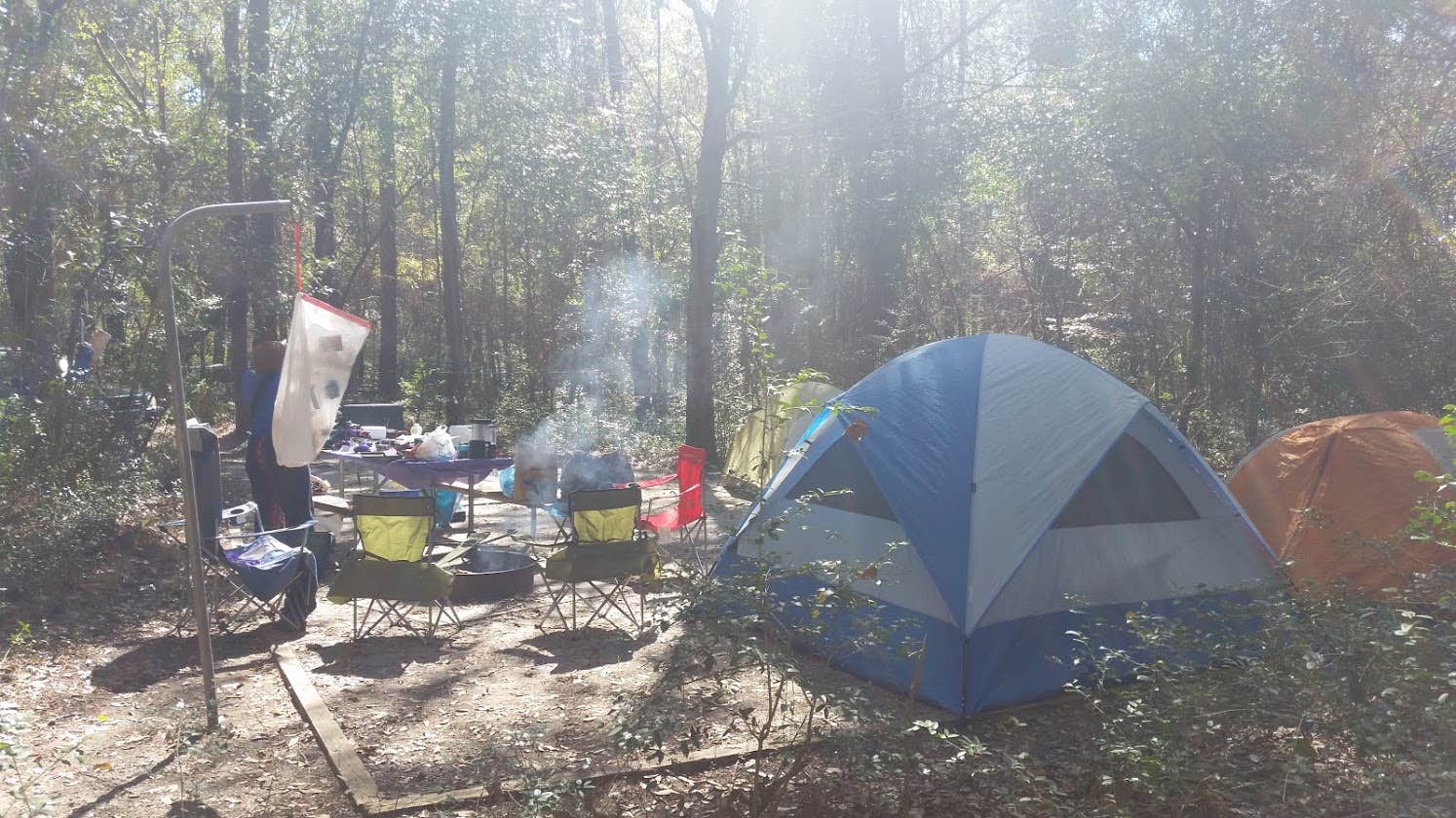 Ali S.'s photo at Carolina Beach State Park Campground near Leland, NC