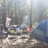 Review photo of Carolina Beach State Park Campground by Ali S., November 2, 2018