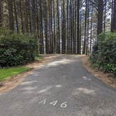 Review photo of Cape Blanco State Park Campground by Shari  G., January 3, 2024