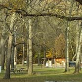 Review photo of Van Meter State Park by Sue B., November 2, 2018