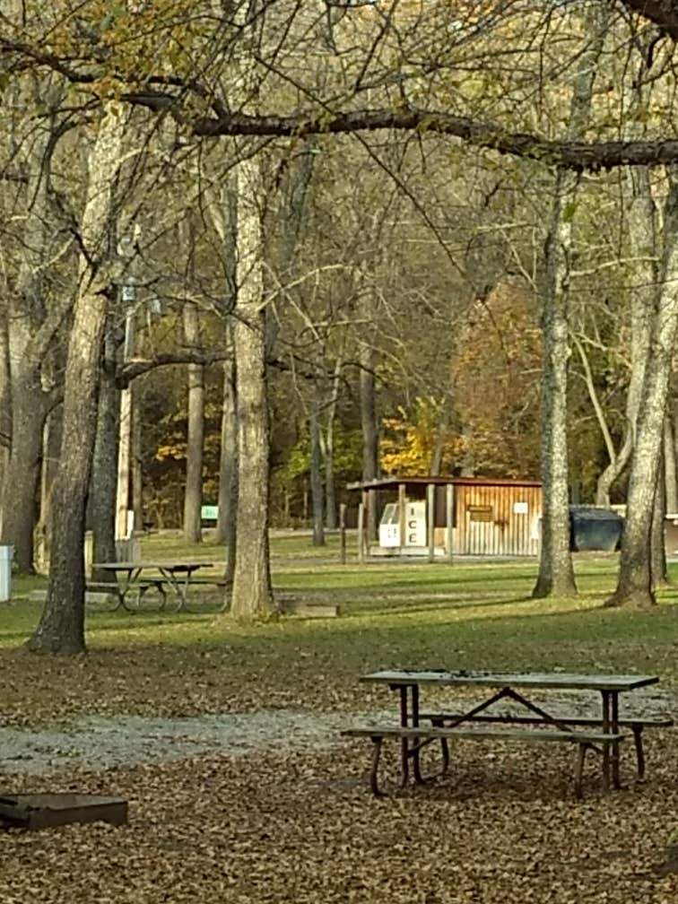 Camper submitted image from Annie and Abel Van Meter State Park Campground - 3