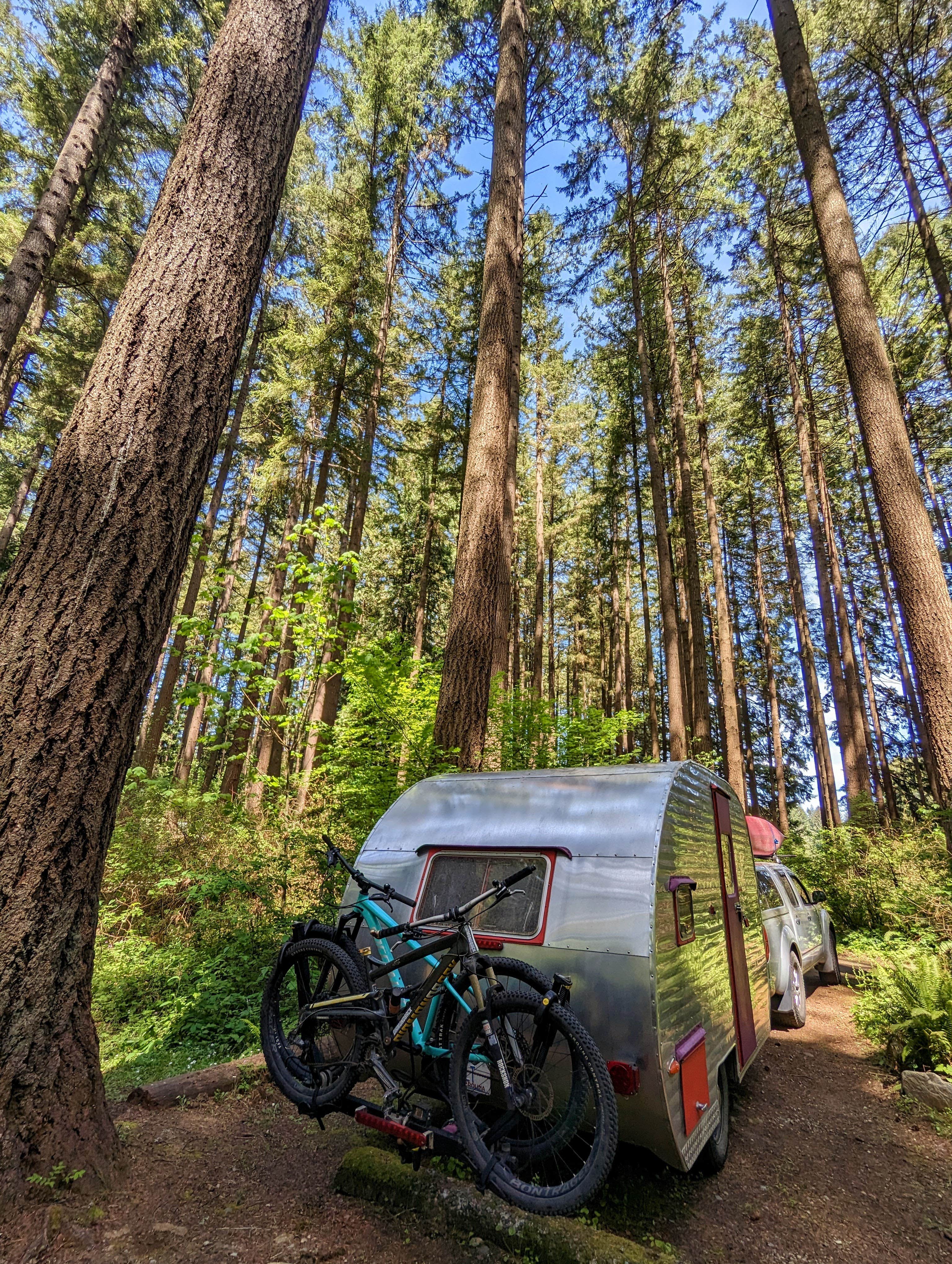 Camping near American Heritage Campground: Millersylvania State Park Campground, Tenino, Washington