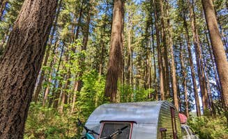 Shari G.'s photo at Millersylvania State Park Campground near Lacey, WA