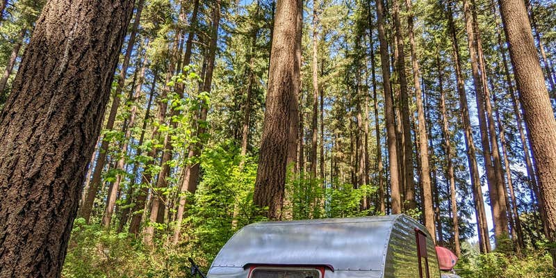 Camper submitted image from Millersylvania State Park Campground