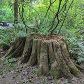 Review photo of Millersylvania State Park Campground by Shari  G., January 3, 2024